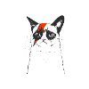CATS | FLASH CAT
