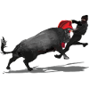 "Bull!"