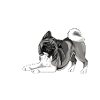 aakitadiamondes