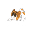 aakitadiamonds6