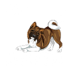 aakitadiamondes5