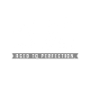 1981 années