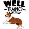 Australian Shepherd Well 17