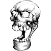 Smiley Skull