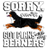 Bernese Berner Plans 2