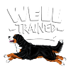 Bernese Berner Trained