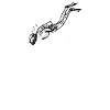 Keep calm and go diving