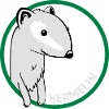 Hermelin