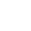 Pferde Stute