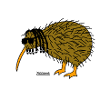 Kiwi Wonder