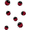 ladybirds