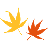 autumn leaves