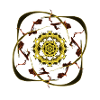 The Sun