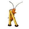 Beetle Lookout