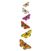 Butterfly Collage