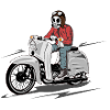 Simson Schwalbe KR-51 Skulldriver