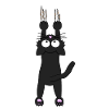 Black cat