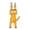 Orange cat