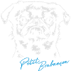 PETIT BRABANCON chien chiens Wilsigns