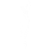 Horse head silhouette