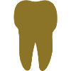 tooth