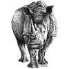 Scribbled Rhino