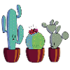 Cactus in bloom