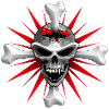 skull_bones_2