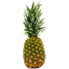 Ananas pineapple
