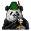 Panda with beer