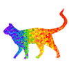 Rainbow cat