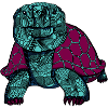 Galapagos Turtle