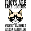grumpy cat Idiots like clouds