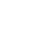 ENGLISH SPRINGER SPANIEL