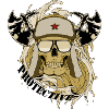 protective skull