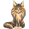 Maine Coon
