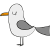 gull