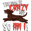 cockercrazy2