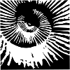 Ammonit