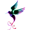 Colibri (01)
