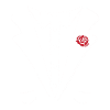 Bachelor