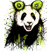 David Pucher Art Kiwipanda