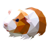 Guinea pig (Guinea Pig)