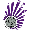 Volleyball Design (stars)