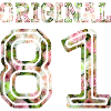 1981
