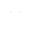 Big eagle head