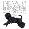 Bouvier Underestimate