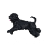 Bouvier Diamonds 2