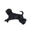 Bouvier Diamonds