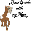 Pferd